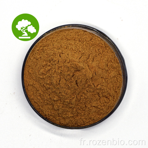 Agaricus Blazei Mushroom Powder Extrait 10: 1